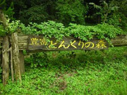 Entrance to Donguri‒no‒Mori (acorn forest)