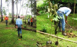 Preparing to plant trees