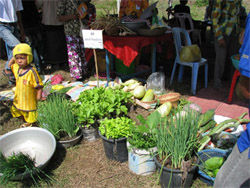 Agricultural products entered into the competition