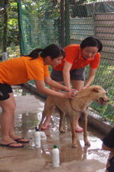 Shower Time!