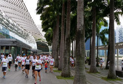 Along the walkway at Marina Bay Sands