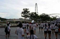 The Helix Bridge and the Singapore Flyer