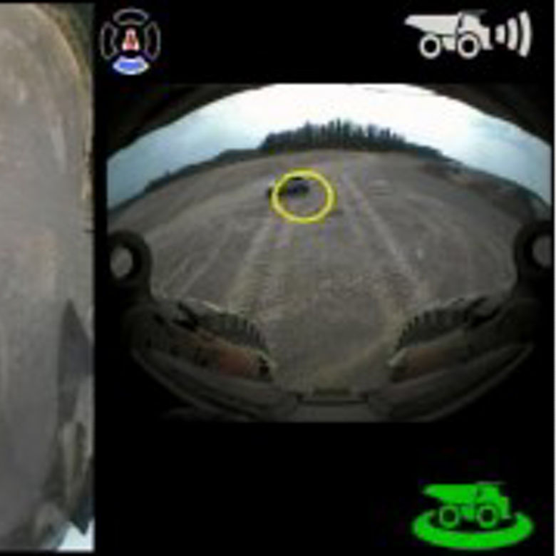 o448 トラッグの大トロッグ群れ