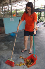 Cleaning the Kennel