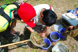 Urahoro Eco School environmental study program