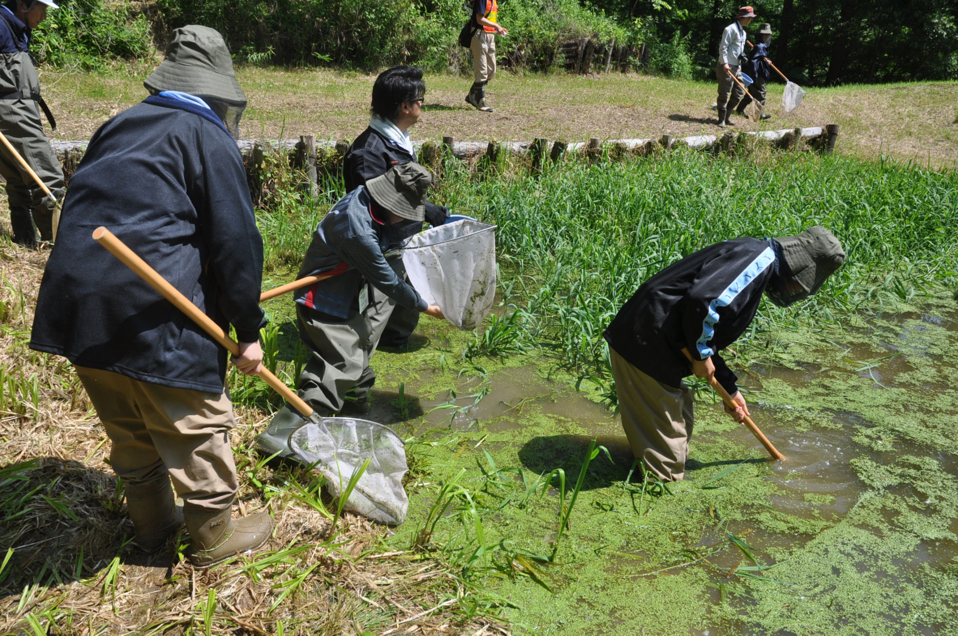 Students discover an unusual creature in the lake