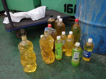Used cooking oil collected at the festival