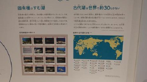 琵琶湖は世界に30しかない古代湖の一つ