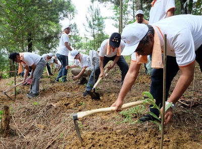 Preparing to plant trees