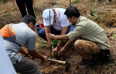 Planting trees