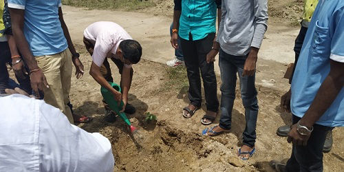 Watering the saplings