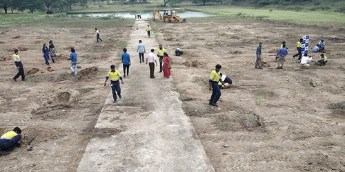 Working on the tree planting site