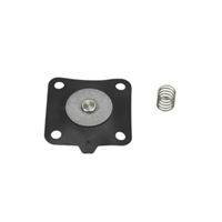 DIAPHRAGM REPAIR KIT
