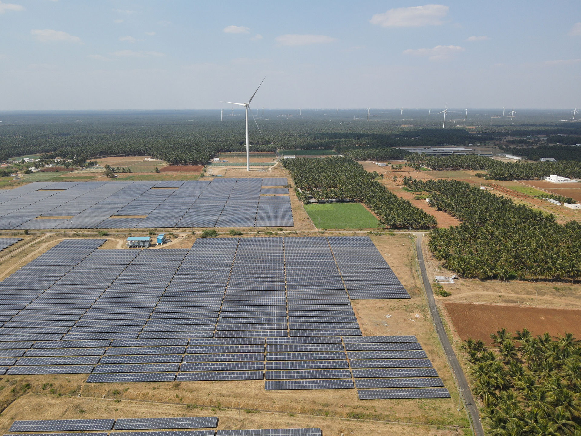 コンティニウム社の太陽光、風力発電所（インド・タミル・ナードゥ州）
