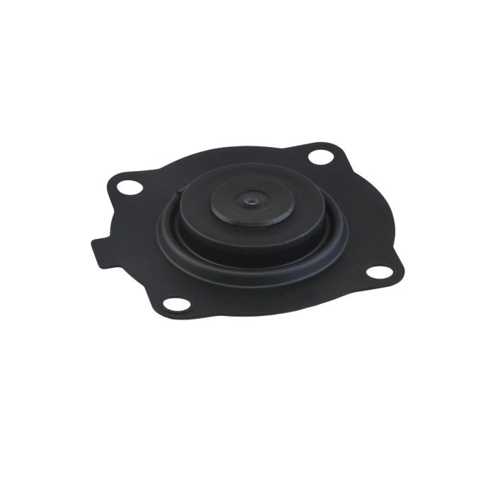 K2546 DIAPHRAGM REPAIR KIT