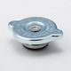 RADIATOR CAP