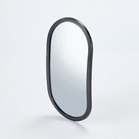 L.H CAB MIRROR