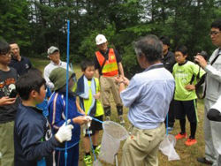 Students observe and collect insect samples