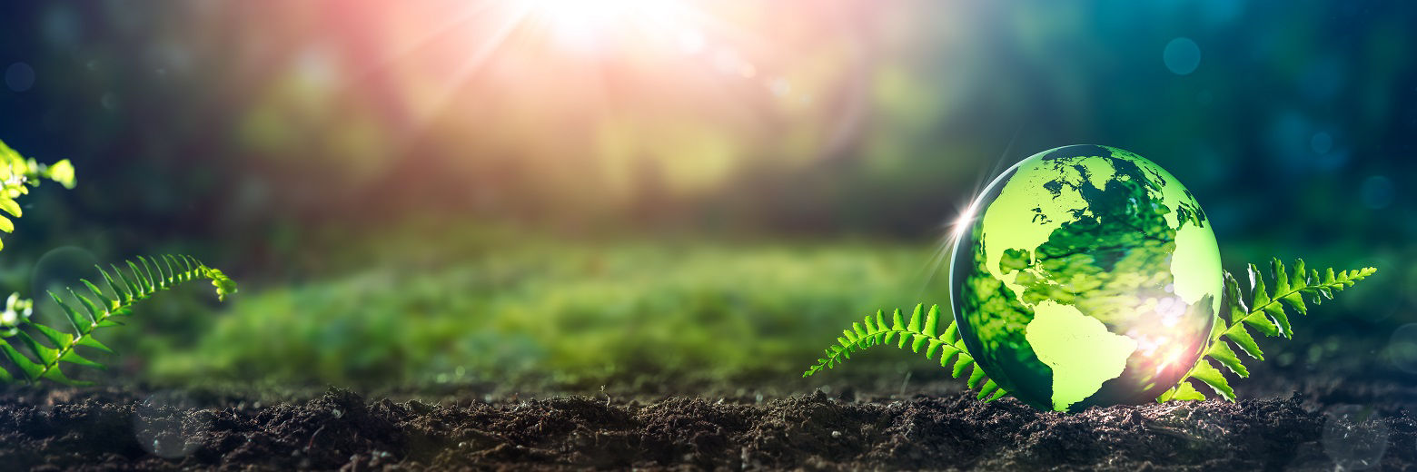 Crystal Earth On Soil In Forest With Ferns And Sunlight - Environment / Earth Day Concept