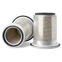 AIR FILTER, PRIMARY