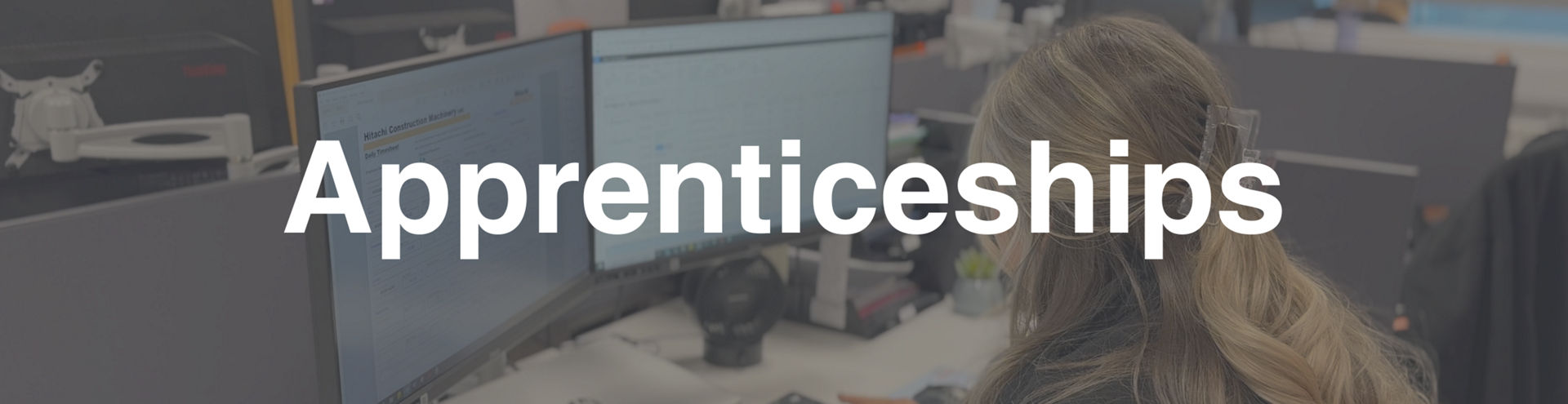 Website Banners - All Pages Update - ApprenticeshipsPNG Max
