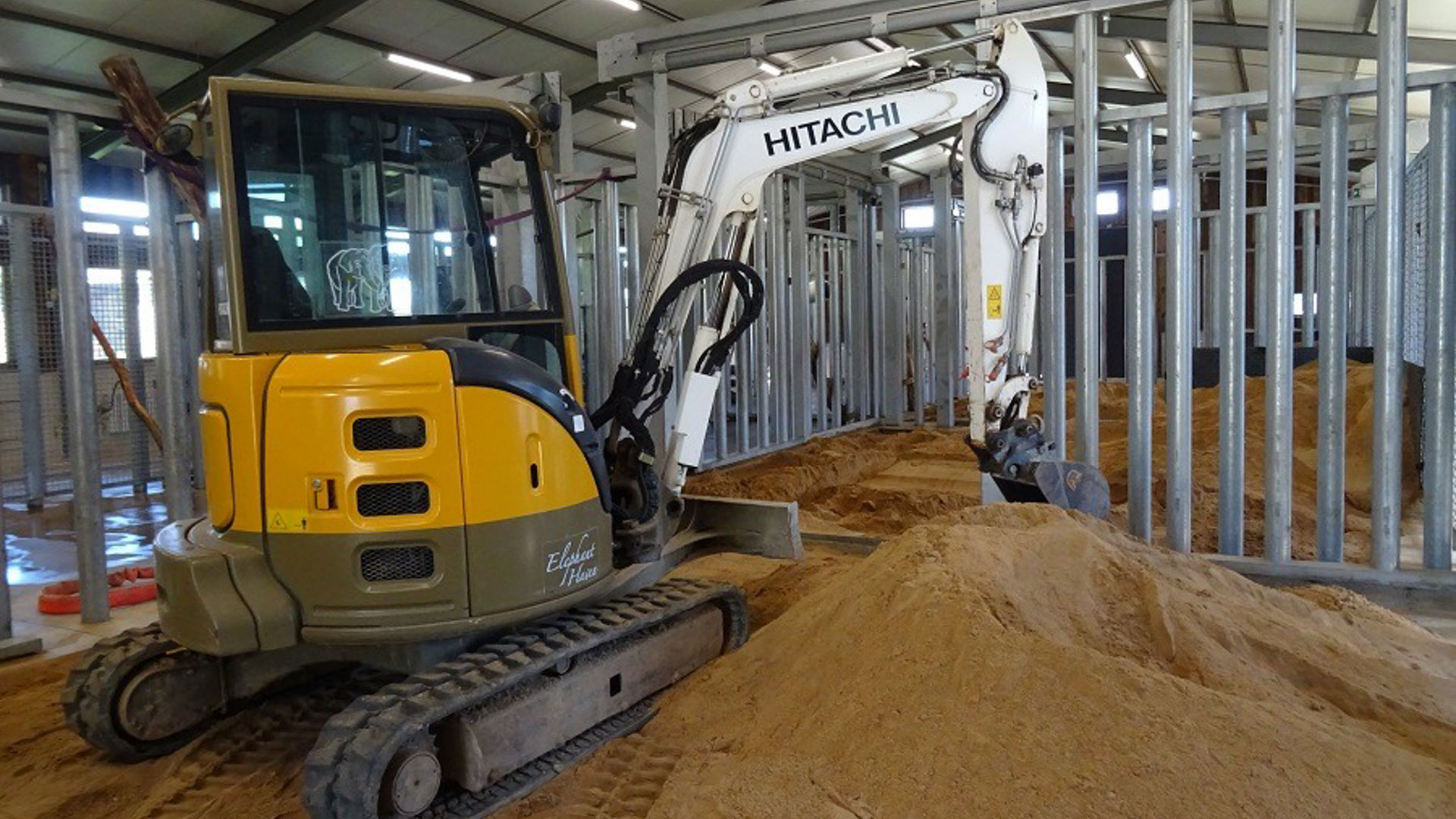 ZX38U-5 Premium Used helps Elephant Haven prepare for a new