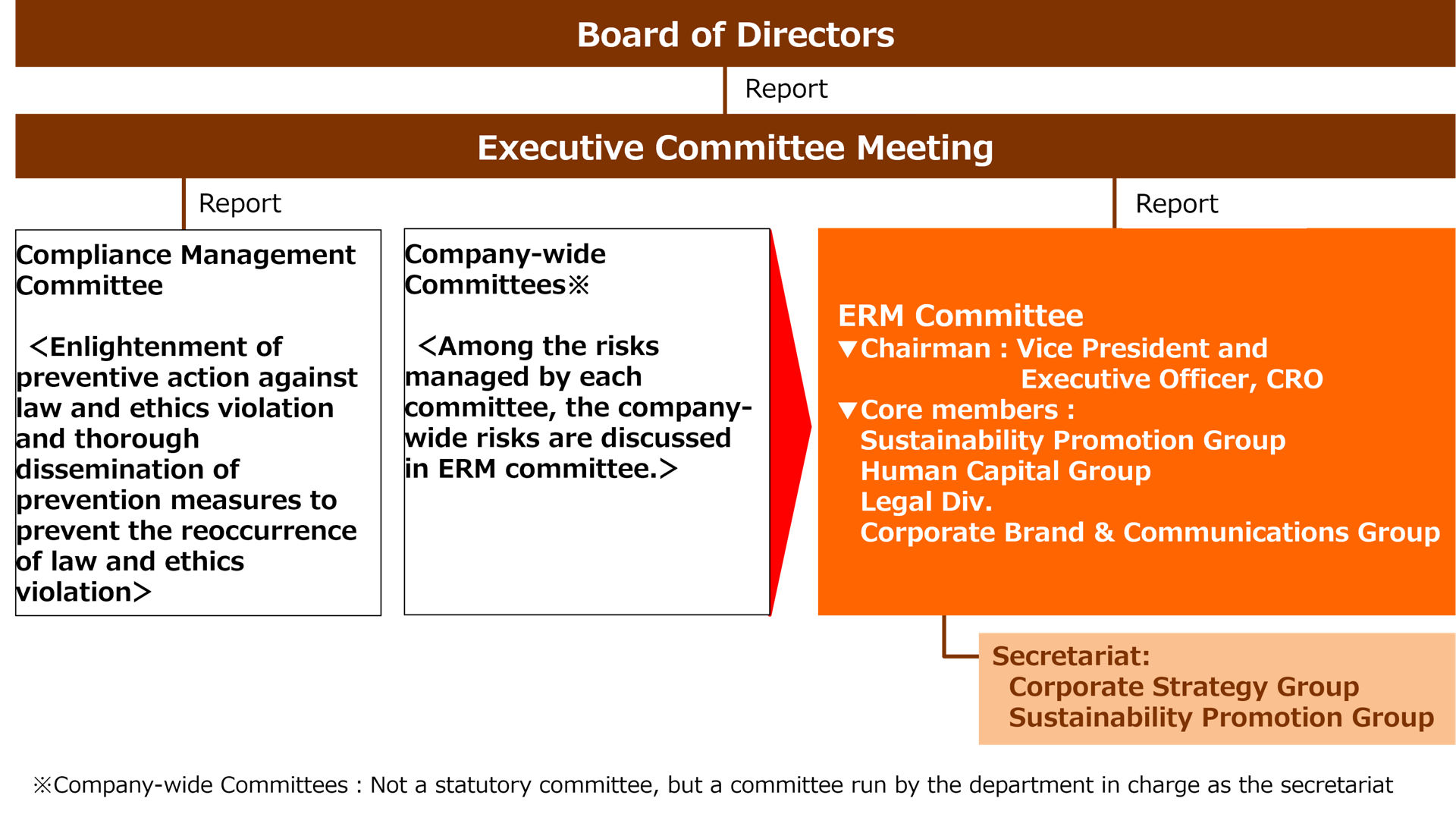 ERM Committee system diagram