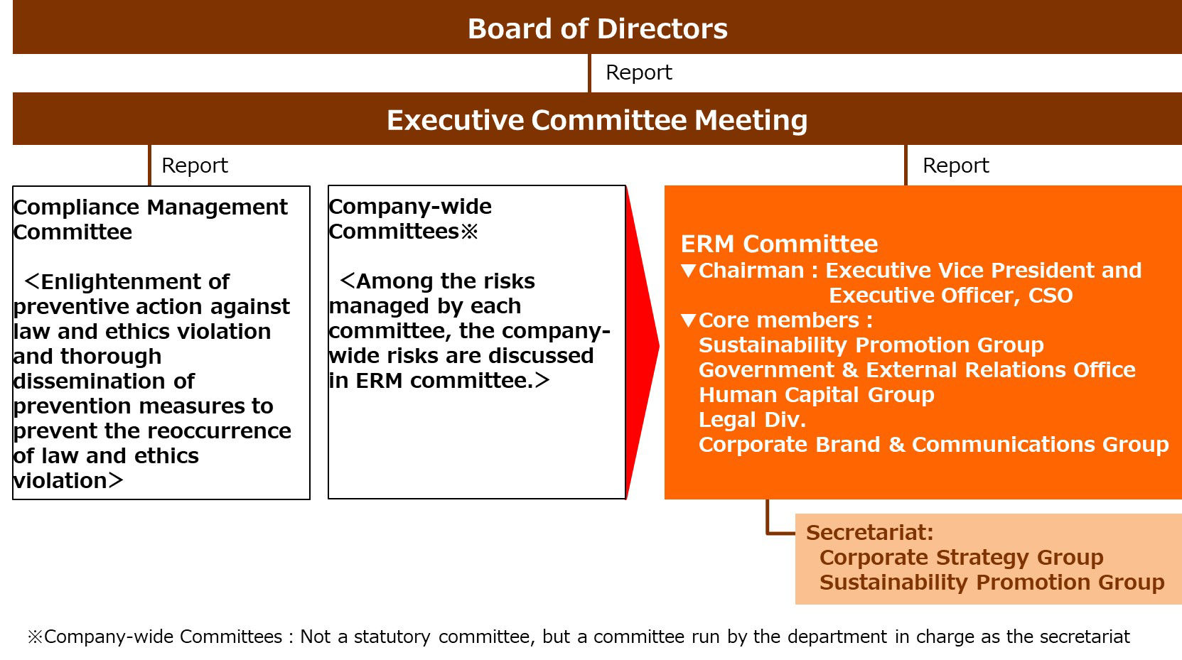 ERM Committee system diagram