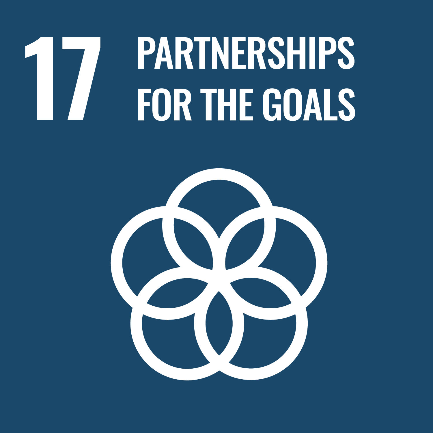 17 PARTNERSHIPS TO ACHIEVE THE GOAL