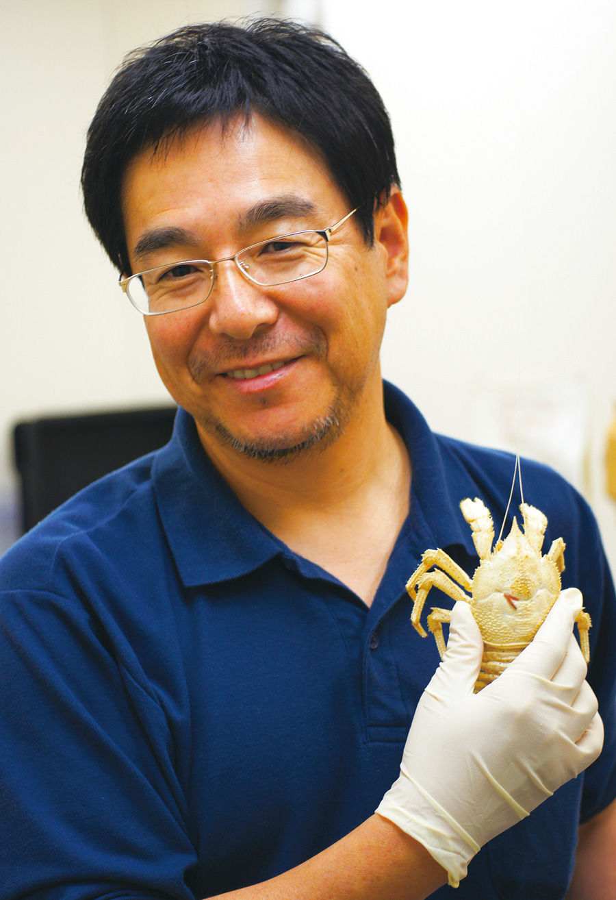 海洋生物環境影響研究センター センター長 藤倉克則さん