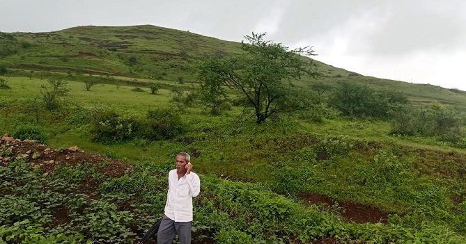 Fertile agricultural field, one year after land reclamation