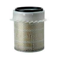 AIR FILTER, PRIMARY SPECIAL