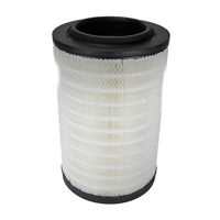AIR FILTER, PRIMARY RADIALSEAL