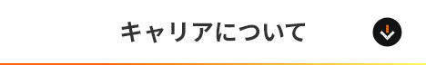 キャリアについて