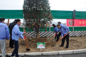 Planting a peace tree adorned with prayers for safety