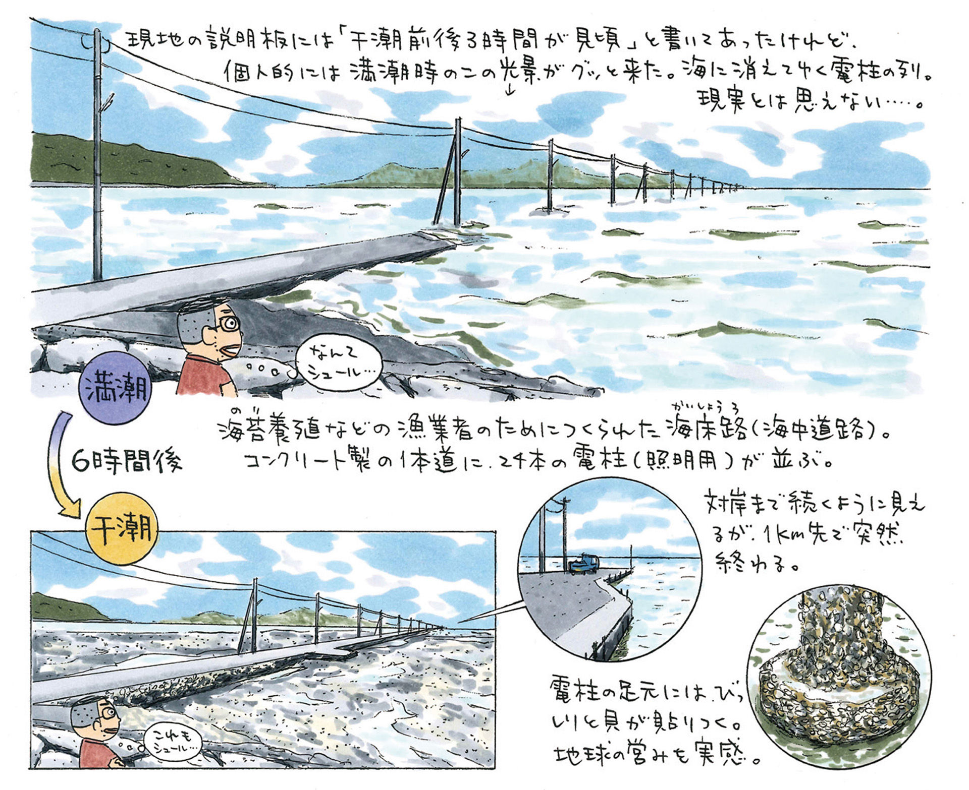 長部田 海床路（ながべた かいしょうろ） 熊本県宇土市住吉町