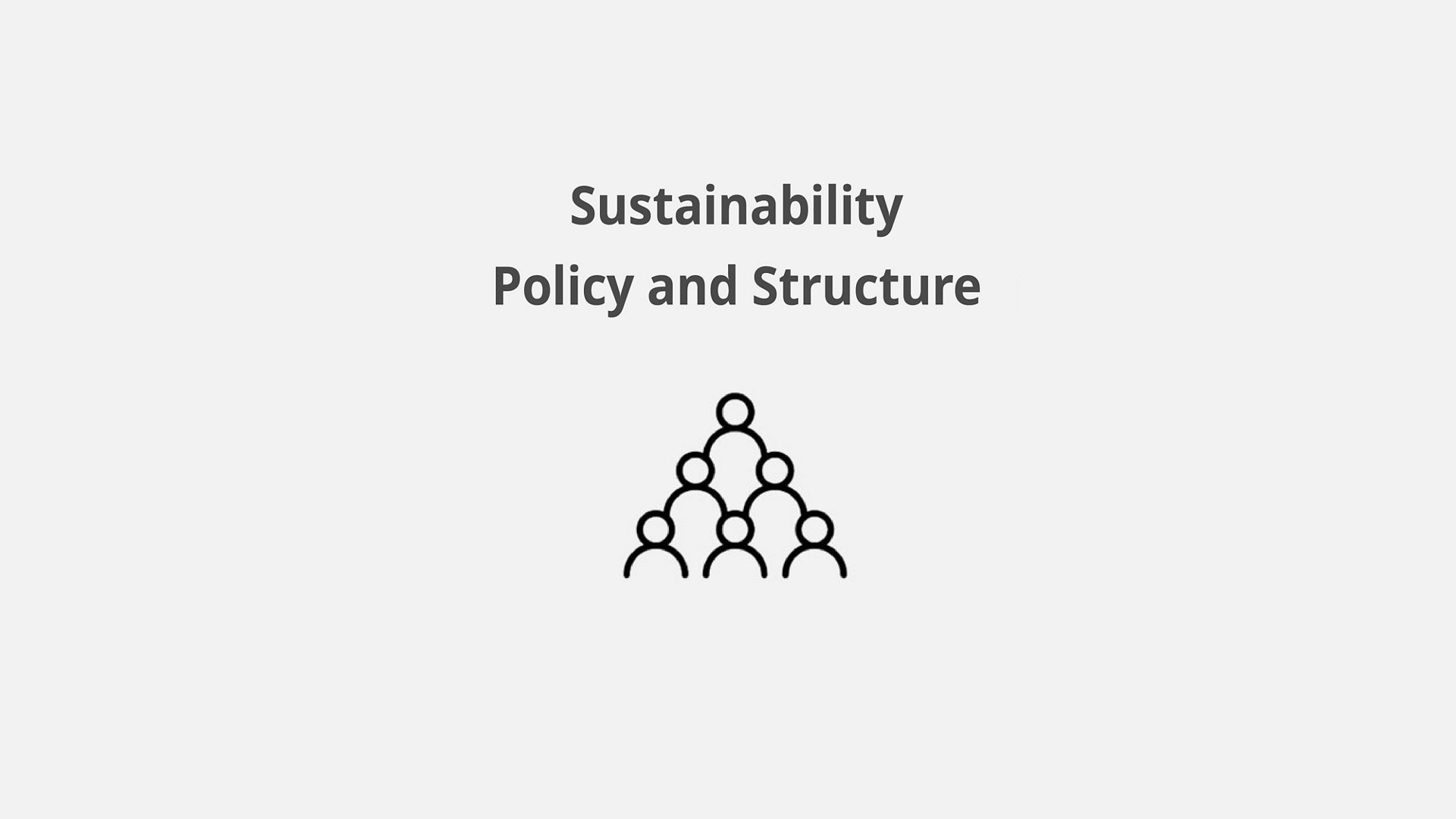 Sustainability Management Structure