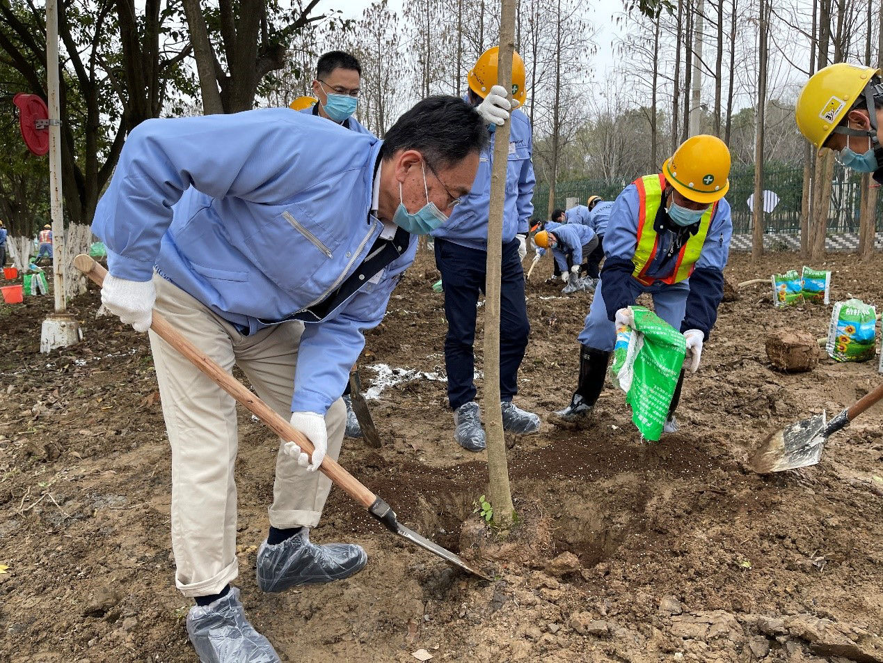 Planting Trees