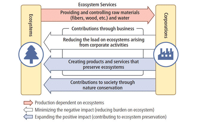Relationship between ecosystem and business
