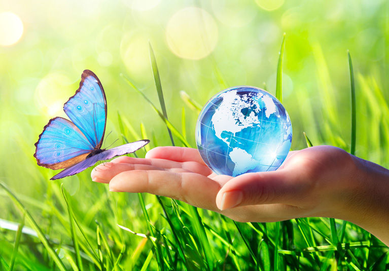 Sustainability