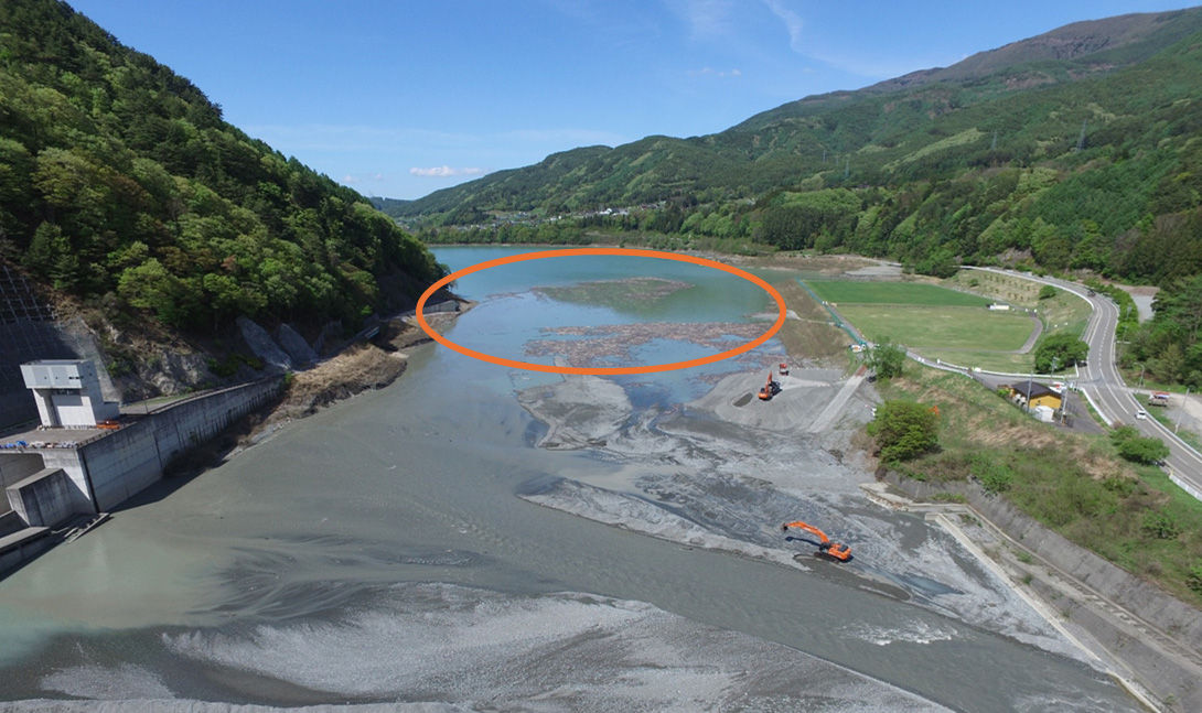 ダム湖面に堆積した流木